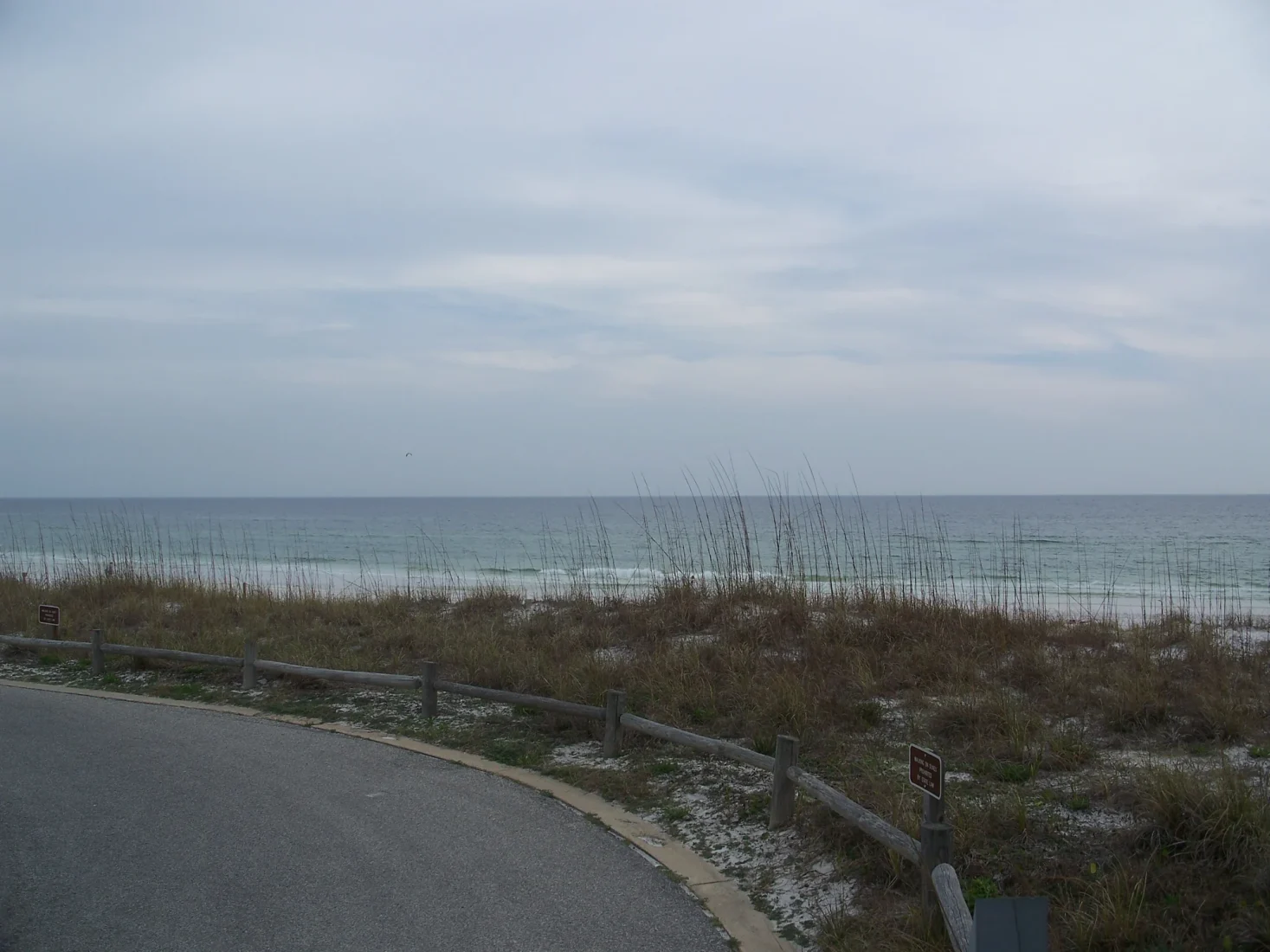 A paved path beside coastal vegetation and the water at Henderson Beach State Park