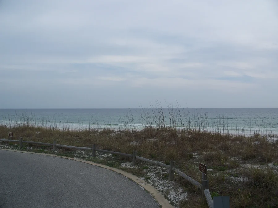 A paved path beside coastal vegetation and the water at Henderson Beach State Park